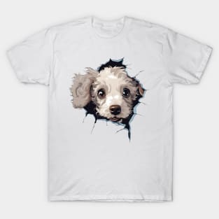 Baby Poodle Dog Peeking T-Shirt